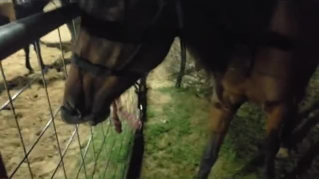 Beleza em todo lugar