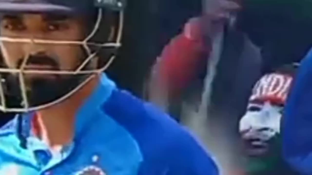 cricket