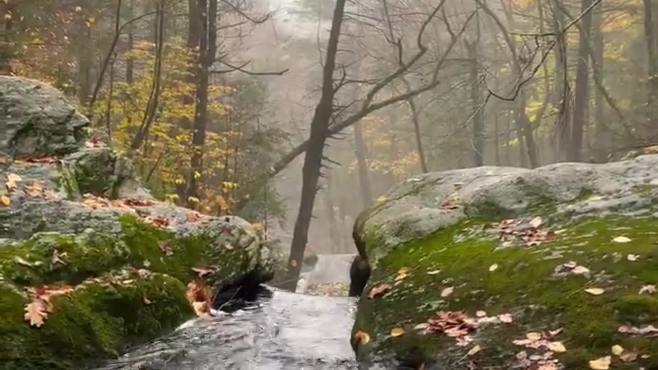 Bright breathtaking views amazing sound of nature love the nature