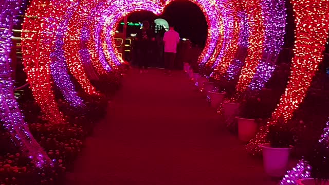 Beautiful night view of Songhae Park
