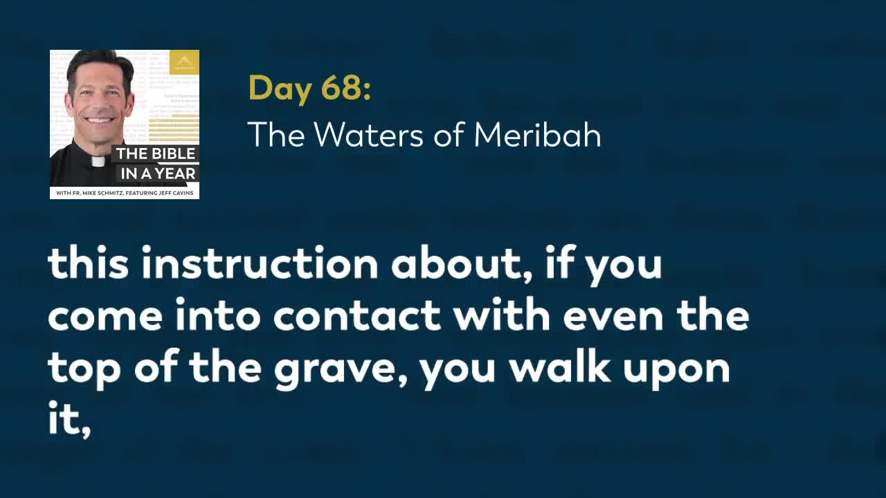 Day 68: The Waters of Meribah — The Bible in a Year (with Fr. Mike Schmitz)