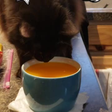 Tang kitty Bessie #2