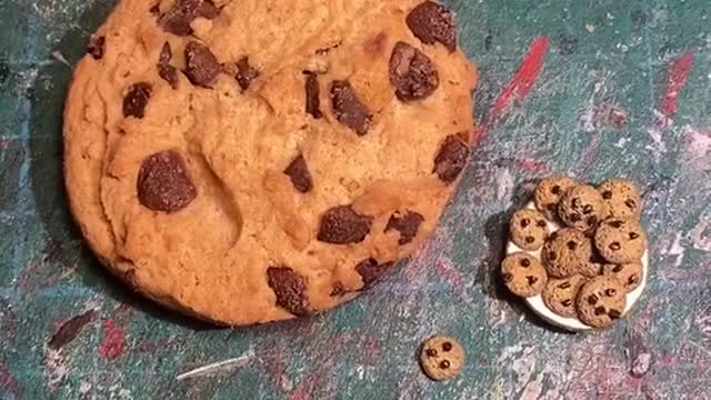 Cookie Comparison!!