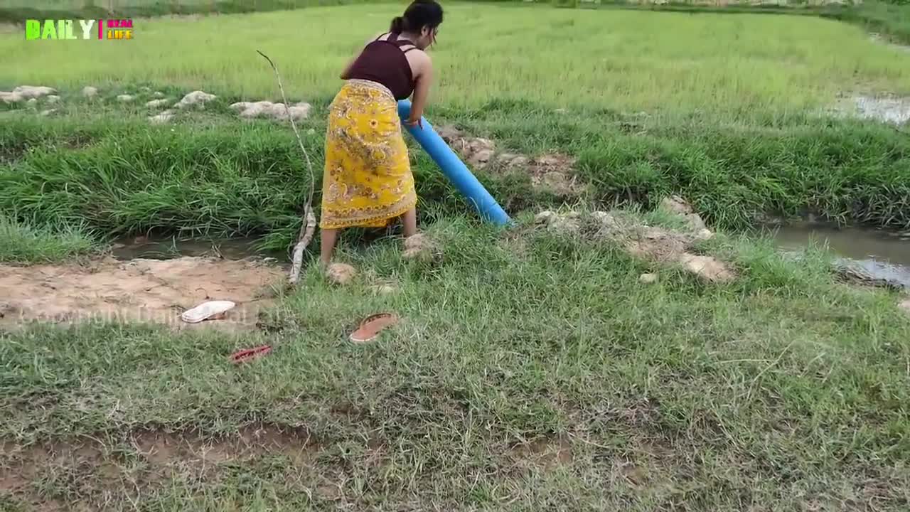 Primitive wonderful girl Catch fish Using plastic Pipe trap