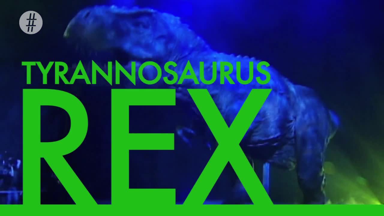 What Is The Biggest Dinosaur To Ever Live?