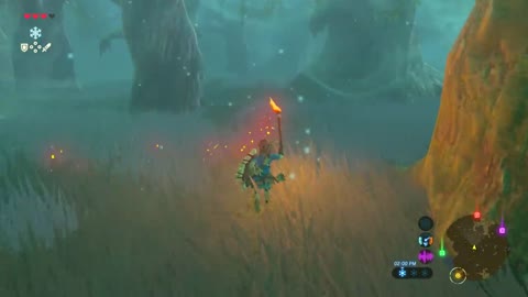 How to Get the Master Sword in Breath of the Wild