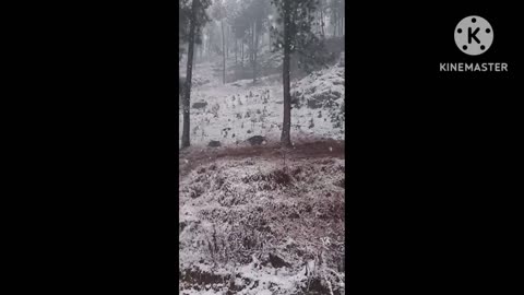 https://rumble.com/v3b4uyo-my-beautiful-pakistan.html