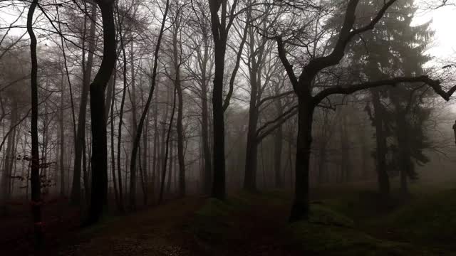 Locations Unknown EP. #64: Terry Meador - Pine Mountain Wilderness - Wyoming (Live)
