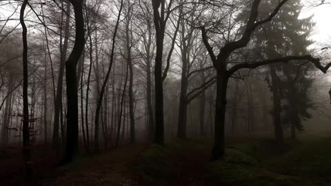 Locations Unknown EP. #64: Terry Meador - Pine Mountain Wilderness - Wyoming (Live)