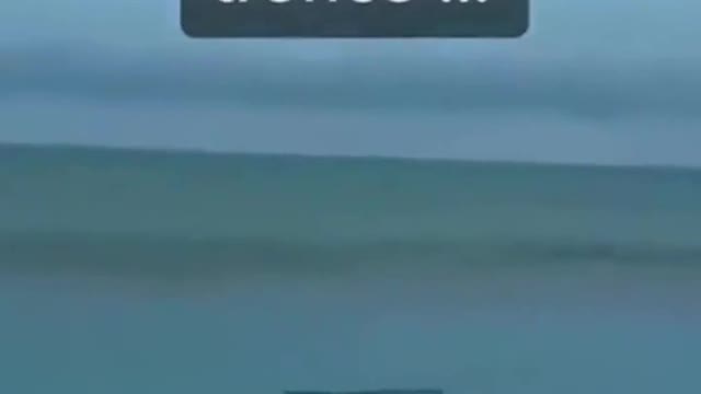 it's a log ?