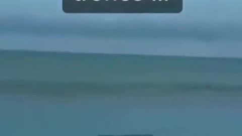 it's a log ?