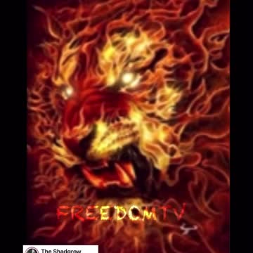 My freedom my freedom