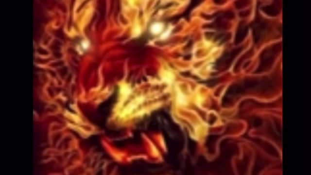 My freedom my freedom