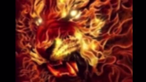 My freedom my freedom