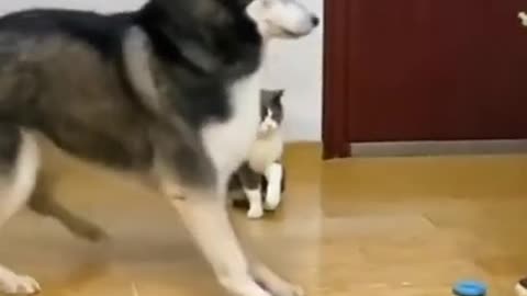 so funny 🤣🤣🤣🤣