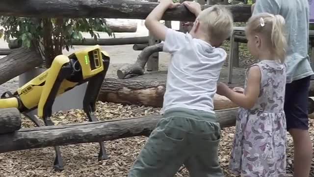 German Zoo Experiments with Robot Dog Exhibit