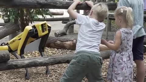 German Zoo Experiments with Robot Dog Exhibit