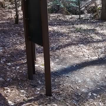 What Is This Logoly State Park