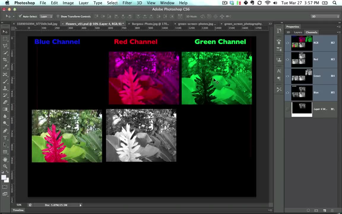 Understanding Channels in Photoshop