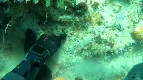 Clean up the underwater garbage and protect the marine natural environment.#12