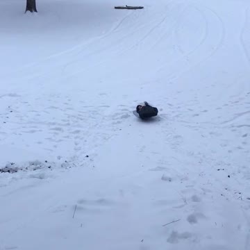 Sleeping bag sledding!
