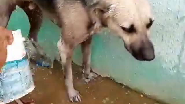 Marquinho has a good life but it sucks