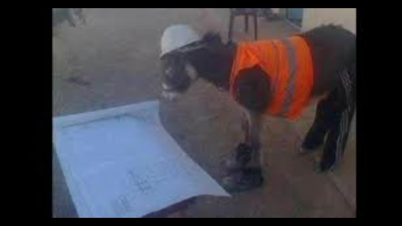 ROBERTO SCUR, TEACHING BERNOULLI EQUATION TO ENGINEER DONKEY CARLOS LIMA!