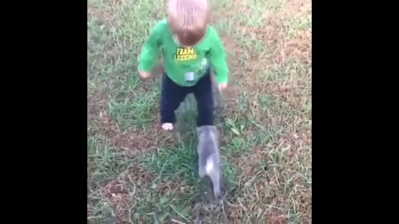 CUTE AND FUNNY CAT ON THE INTERNET.