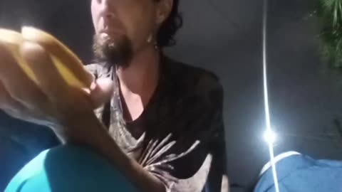 5 star food review