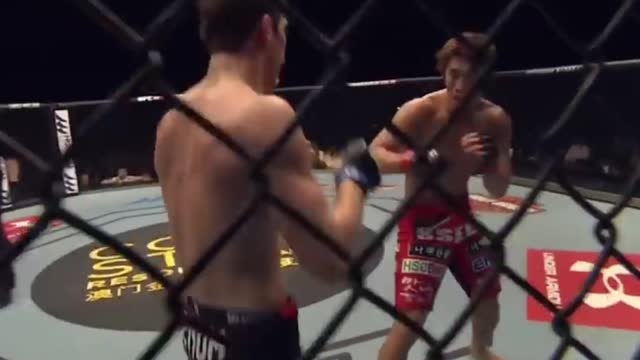 best mma knockouts 6