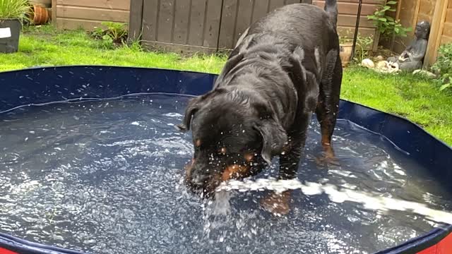 Slow motion water play!