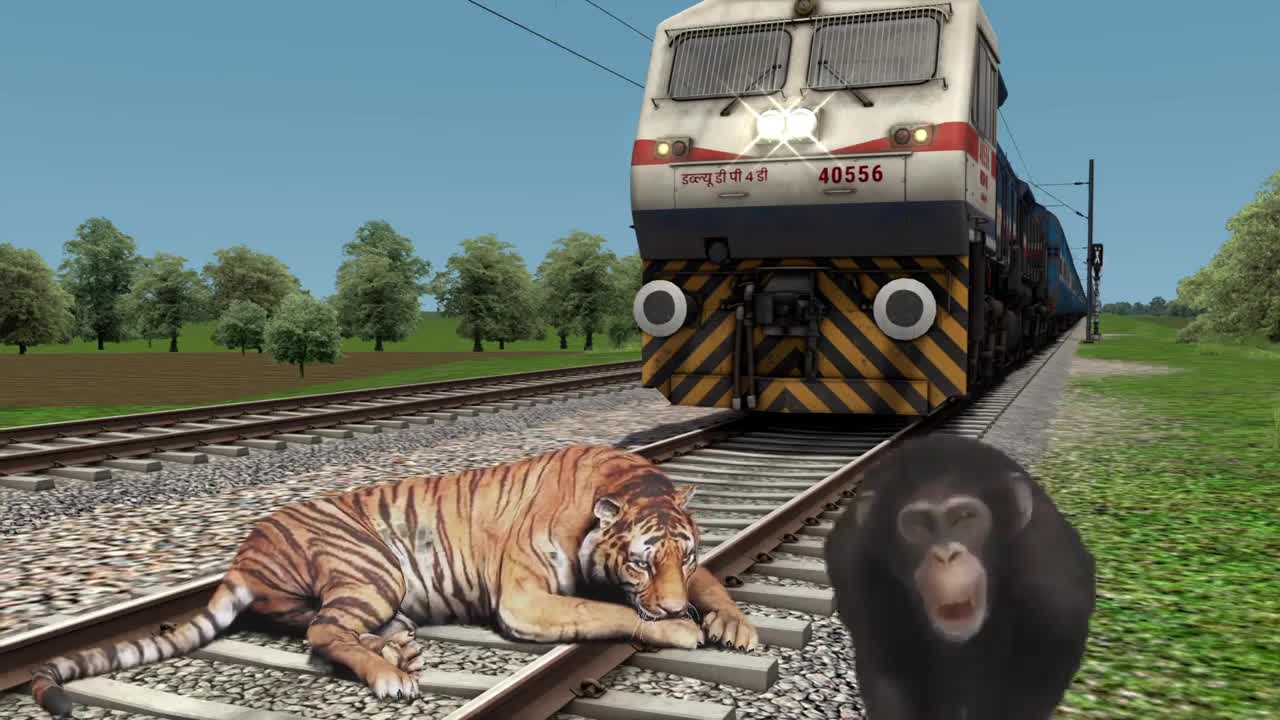 Tiger, monkey and train