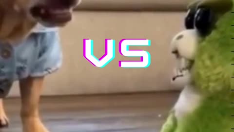Mr.Beast vs Dog