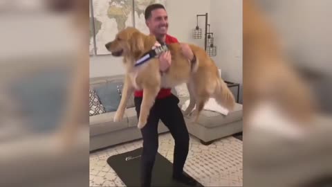 Funny Dogs helping their owners Exercise Compilation