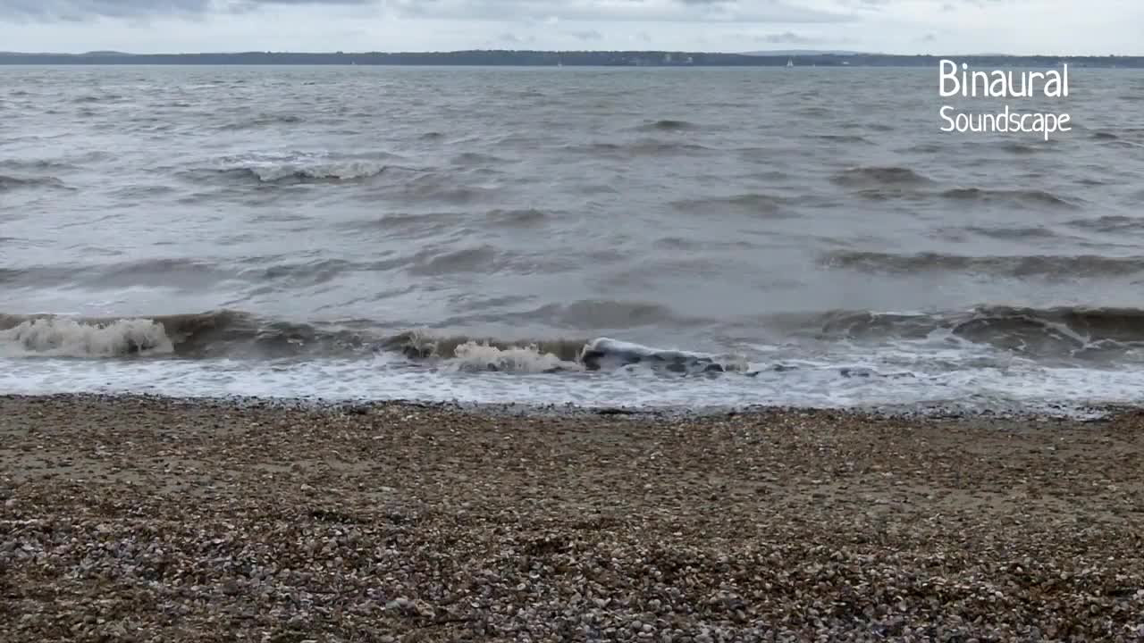 Ocean waves and wind - Binaural sea and beach sounds recording