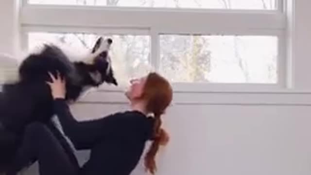 the dog repeats everything after the owner