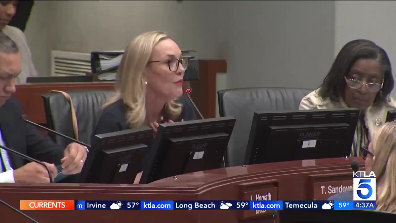 LA Metro Board Member Admits She's Too "Afraid" To Use The Transit System