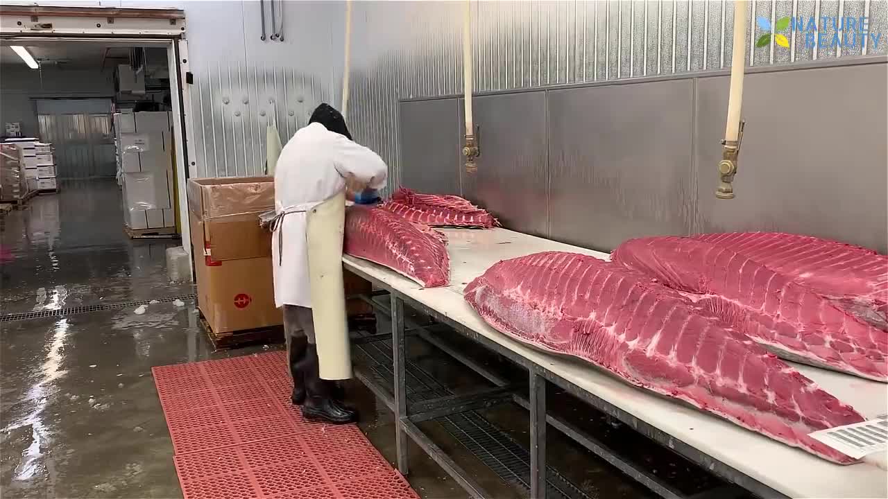 Amazing Technique / How to Cut Fastest slice in Big Tuna?