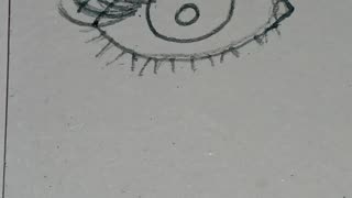 Eye Illustration