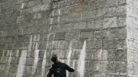 Watch this Dog run on Wall