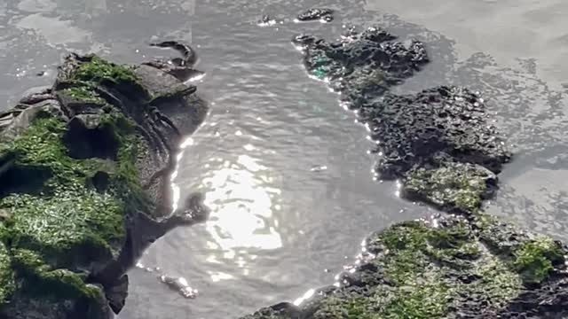 Sparkling water in the sun.