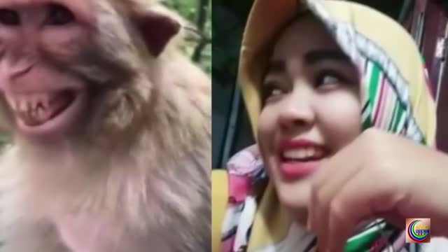 Best dog pranks | Prank with dogs with fake lion | And the laughter of different people | part 5