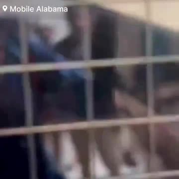 🚨#BREAKING: Two students have been shot at LeFlore High School after a fight broke out