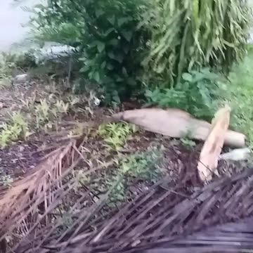 11.1.2024 Rubbishtown