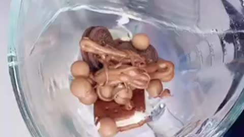 Nice sweet