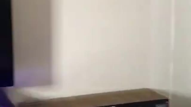funny animals 😂 crazy animals 😱