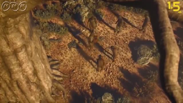 Apes evolve into humans_batch