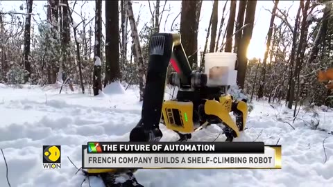 All the world becomes like robotics