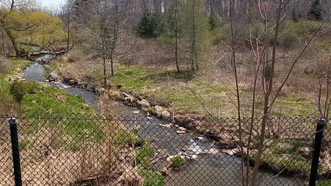 Early Spring Ontario Canada