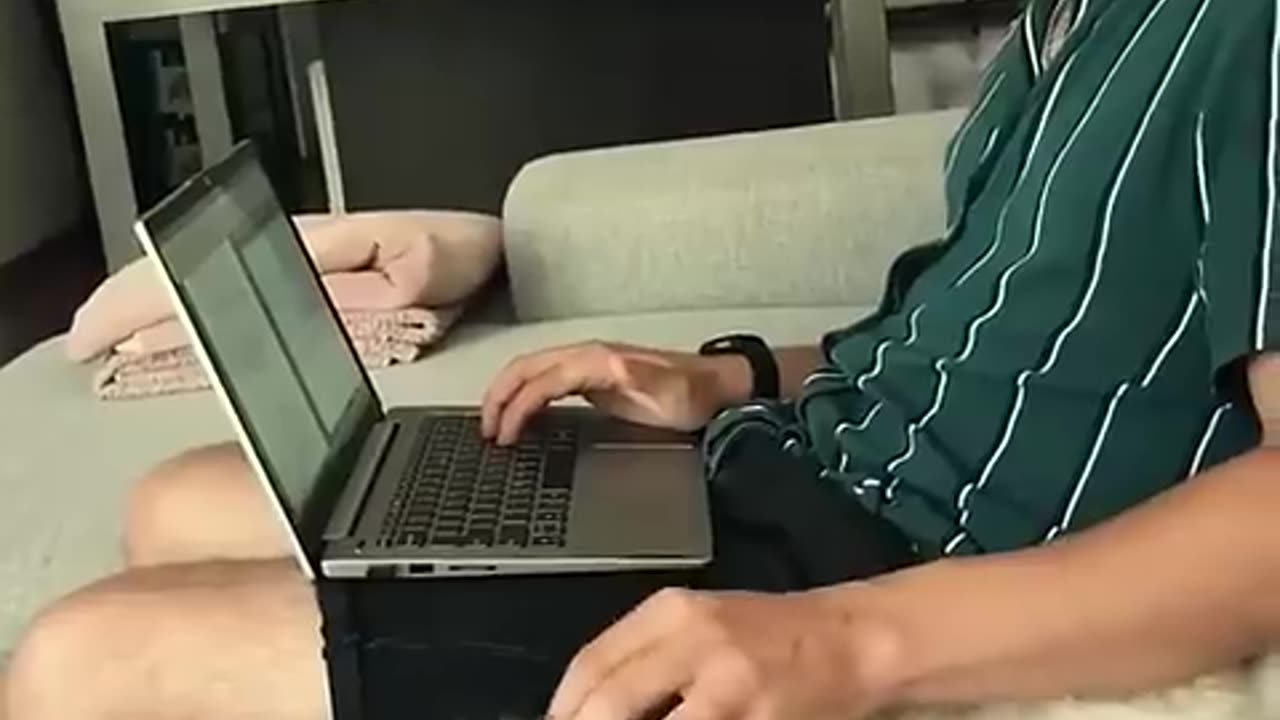 Funny animal